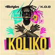 Koliko | The Allergies
