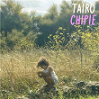 Chipie | Taïro
