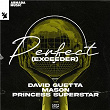 Perfect (Exceeder) | David Guetta