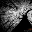 Strange Paths | Loan