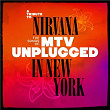 A Tribute to Nirvana, The Songs of MTV Unplugged in New York | Camille Jansen