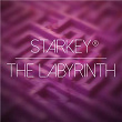 The Labyrinth | Starkey