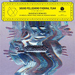 Bassface Remixes - EP | Sound Pellegrino Thermal Team