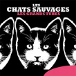 Les grands tubes | Les Chats Sauvages