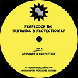 Guidance & Protection - EP | Professor Inc