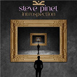 Introspection | Steve Pinet