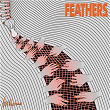 Feathers | Axis Neptune