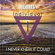 I Never Knew It Could | Herms