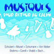 Musiques pour retour au calme (L'intégrale) | Ensemble Instrumental De Paris