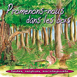 Promenons-nous dans les bois (Contes, comptines, éco-citoyenneté) | Bernadette Le Saché