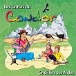 Les contes du Condor (Cordillère des Andes) | Bernadette Le Saché