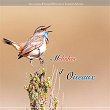 Naturophonia: Mélodies d'oiseaux | Fernand Deroussen
