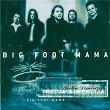 Tretja dimenzija | Big Foot Mama