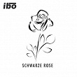 Schwarze Rose | Ibo