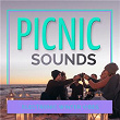 Picnic Sounds - Electronic Winter Vibes | Ingo Herrmann