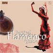 Best of Festival Flamenco Gitano | El Perrate, Paco De Lucia