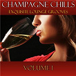 Champagne Chills, Vol. 1 - Exquisite Lounge Grooves | Luis Hermandez