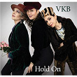 Hold On | Vkb Band