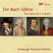 Die Bach-Söhne | Anne Katharina Schreiber