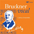 Bruckner Vocal | Calmus Ensemble