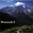Blasmusik (5) | Franzl Obermeier Und Seine Blasmusik