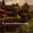 Es war im Böhmerwald | Robert Jung