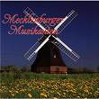 Mecklenburger Musikanten | Mecklenburger Musikanten