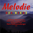 Melodie der Berge | Lindberger Klarinettenmusi