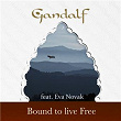 Bound to Live Free (Short Edit) | Gandalf