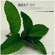 Best of Peppermint Jam - For the Love of Music | Mousse T