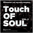 Touch of Soul, Vol. 2 - 20 Soulful Tunes | The Mouseketeers