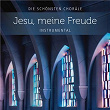 Jesu, meine Freude | Jochen Rieger