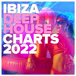Ibiza Deep House Charts 2022 | The Disco Boys