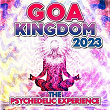 Goa Kingdom 2023 - the Psychedelic Experience | Fabio Fusco