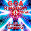 Goa Kingdom 2024 - The Psychedelic Experience | Fabio Fusco