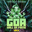 Goa Hall of Fame, Vol. 3 - Temple of Madness | Disconect