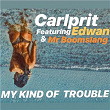 My Kind of Trouble | Carlprit