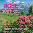 Die Rose von Südtirol | Die Sonnenblumen
