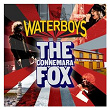 The Connemara Fox | The Waterboys