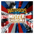 Mister Charisma | The Waterboys