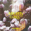 Lost Again | Mighty Oaks