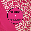Can't See for Looking: The Lost Pye Single | The Bobcats