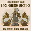Greatest Hits from The Roaring Twenties: The Sound of the Jazz Age | Skip Martin & His Prohibitionists
