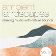 Ambient Landscapes: Relaxing Music with Nature Sounds, Vol. 2 | Akash Asher