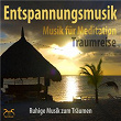 Entspannungsmusik - Musik für Meditation, Traumreise, Ruhige Musik zum Träumen | Max Entspannung, Torsten Abrolat, Syncsouls