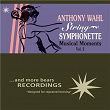 Musical Moments, Vol. 2 | Anthony Wahl & String Symphonette
