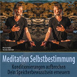 Meditation Selbstbestimmung: Konditionierungen Aufbrechen, Dein Speicherbewusstsein Erneuern | Pierre Bohn, Torsten Abrolat, Syncsouls