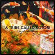 A Tribe Called Kotori - Chapter 2 | Christos Fourkis