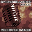 Instrumental Playback Hits (Karaoke Remix Playlist 2023.1) | Wildberry Lillet