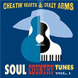 Cheatin' Hearts & Crazy Arms - Soul Country Tunes, Vol. 1 | The Hurricanes